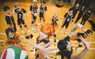 乌野高校排球部 搜索结果 哔哩哔哩 Bilibili