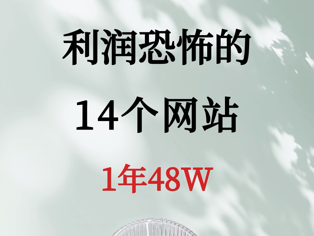 捞偏门14个利润恐怖的网站,一年48W,你知道几个?哔哩哔哩bilibili