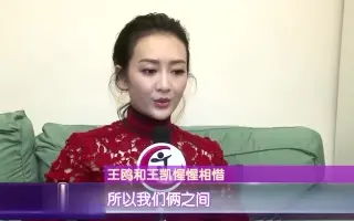 猎狐王鸥王凯图片