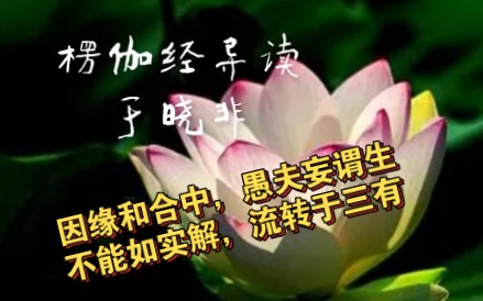 楞伽经导读(于晓非)文字录屏版1:引言1 为什么要学习楞伽经哔哩哔哩bilibili