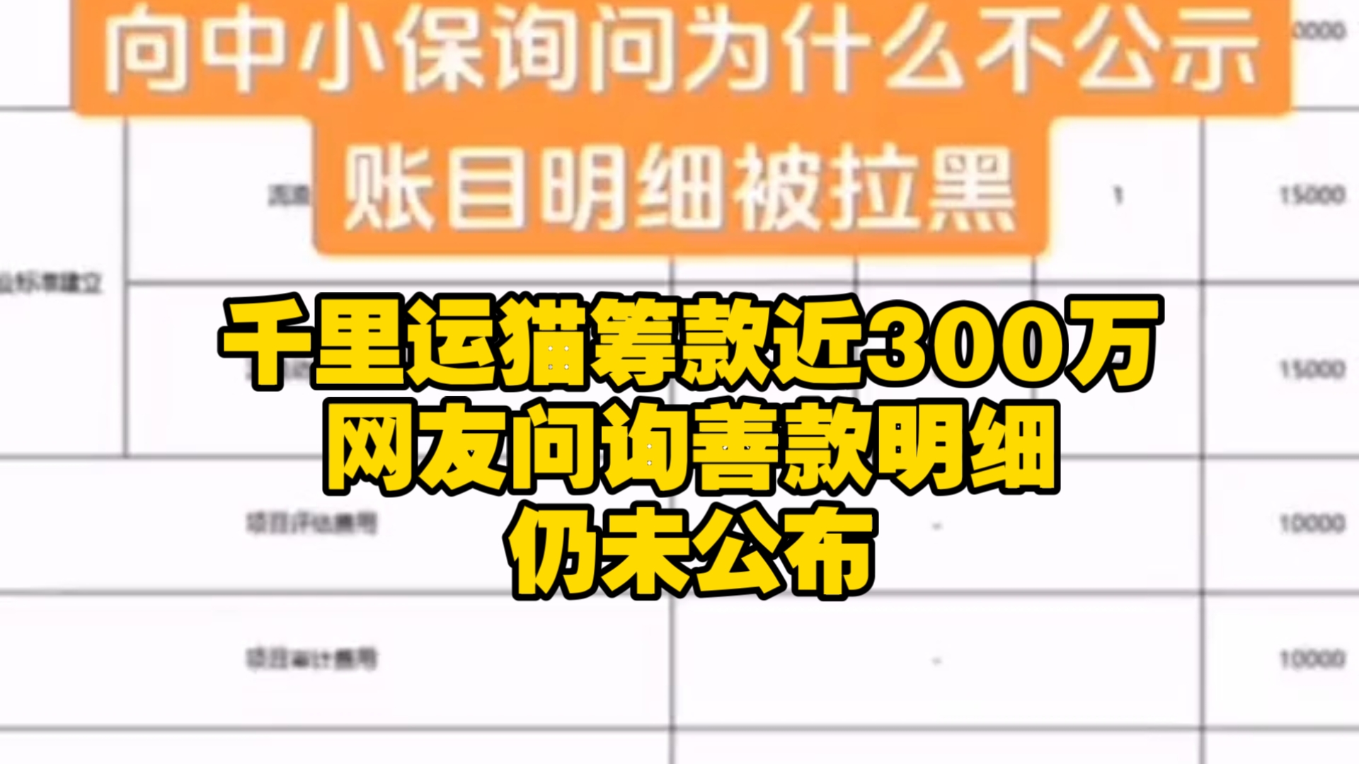 千里运猫筹款近300万,网友问询善款明细仍未公布,什么原因呢!哔哩哔哩bilibili