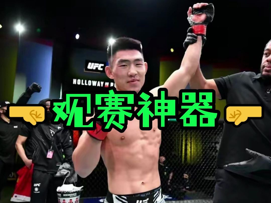 UFC299直播:宋亚东vs彼得严(在线免费)观看比赛大战哔哩哔哩bilibili