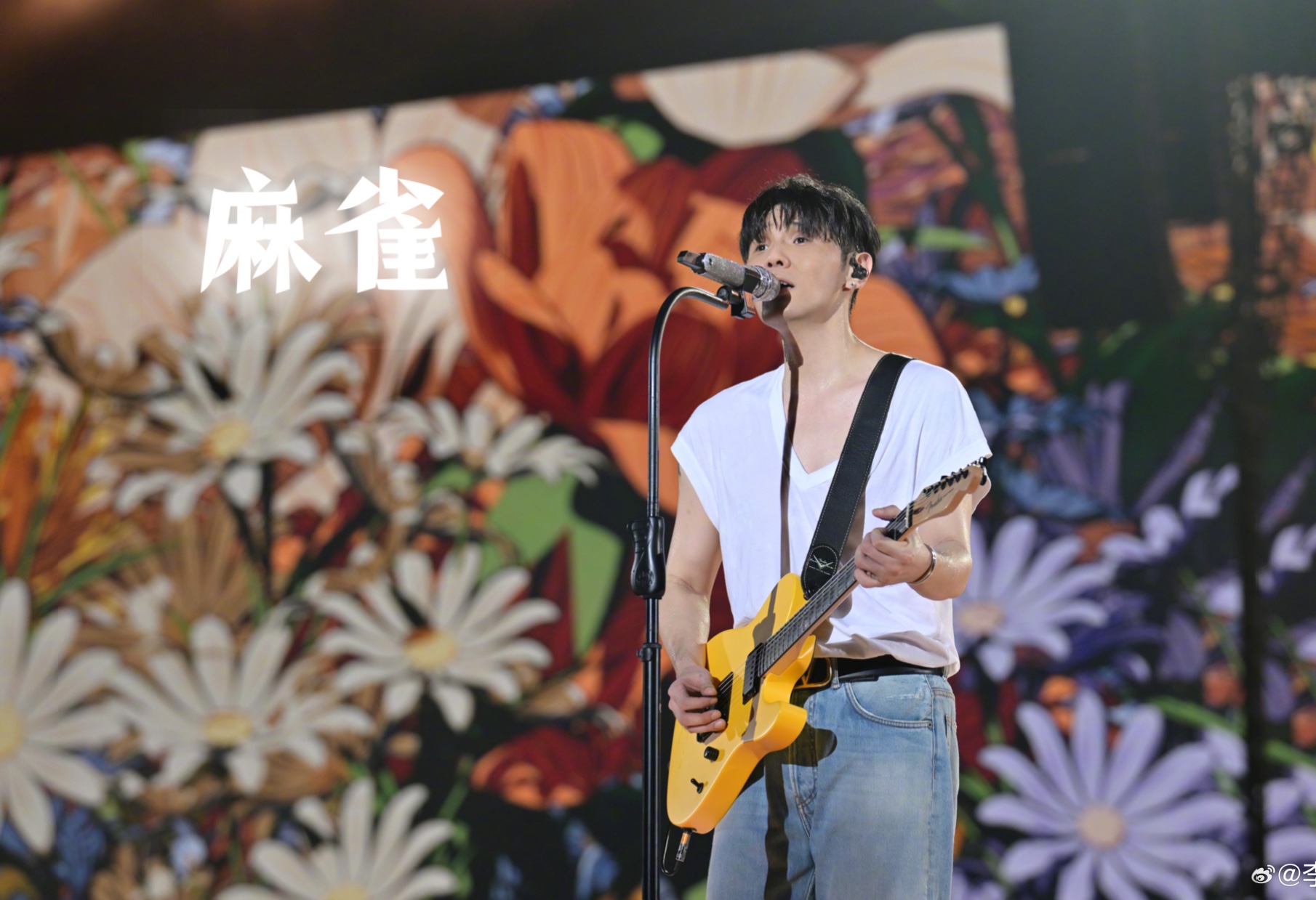李荣浩纵横四海演唱会0706温州场 麻雀(骗人版)