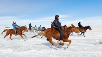 Скачать видео: 草原赛马