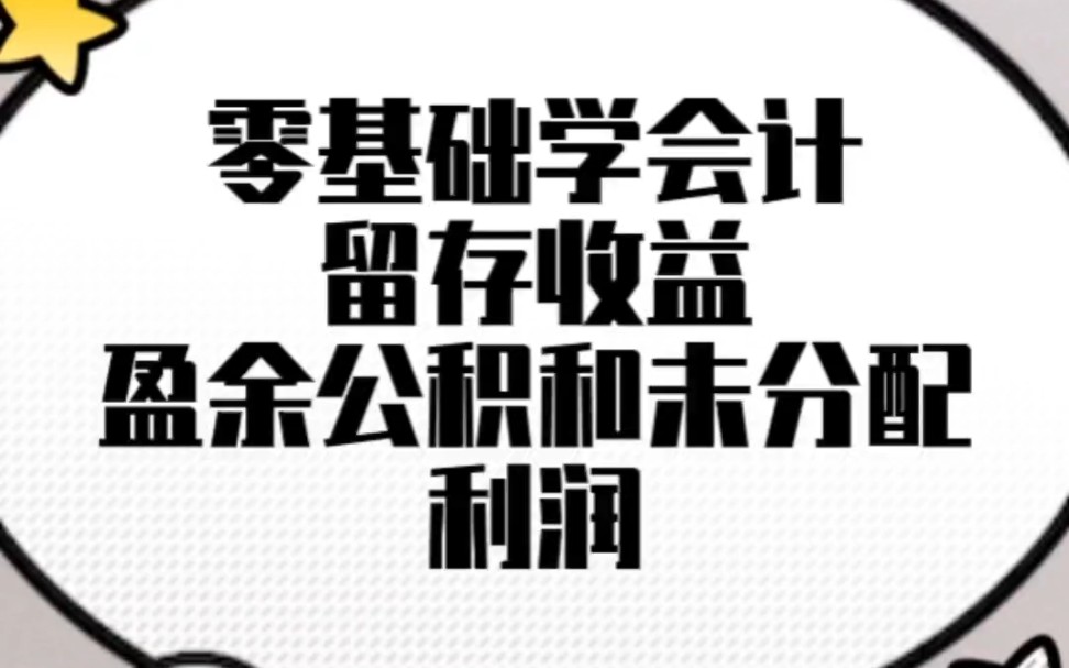 盈余公积和未分配利润哔哩哔哩bilibili