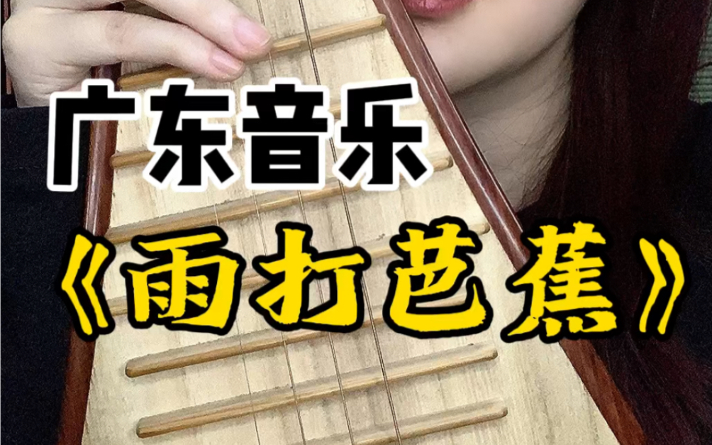 琵琶花老师雨打芭蕉