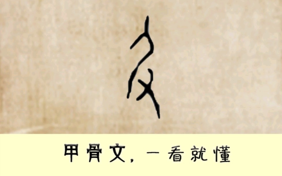 "及"甲骨文4600多个,每天学习一点点