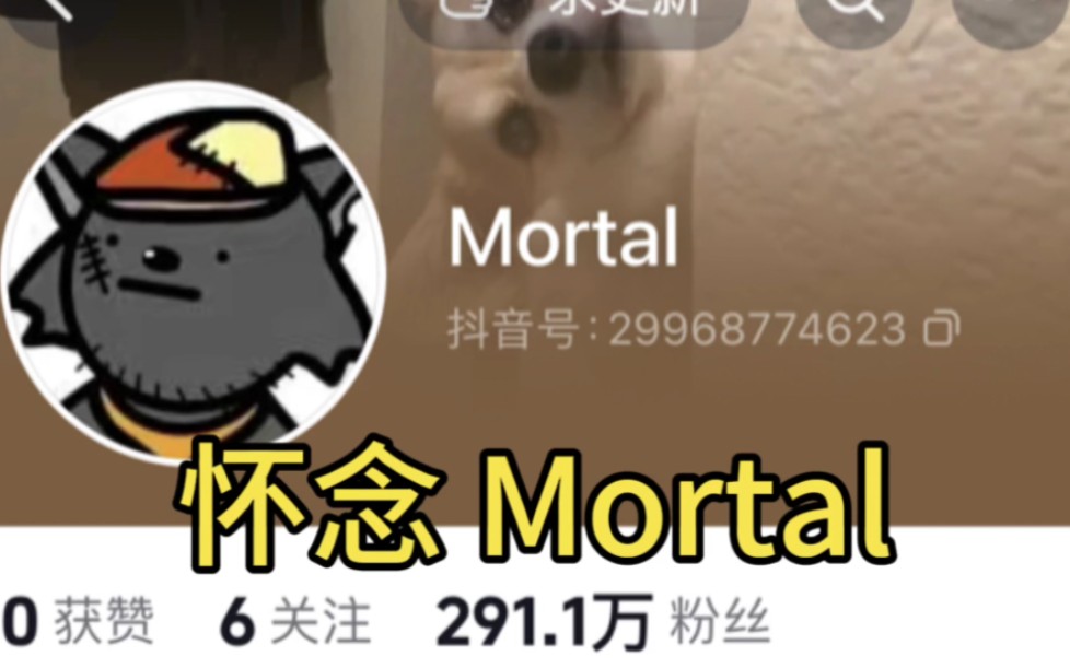 [图]怀念灰太狼 Mortal，她会会回来的