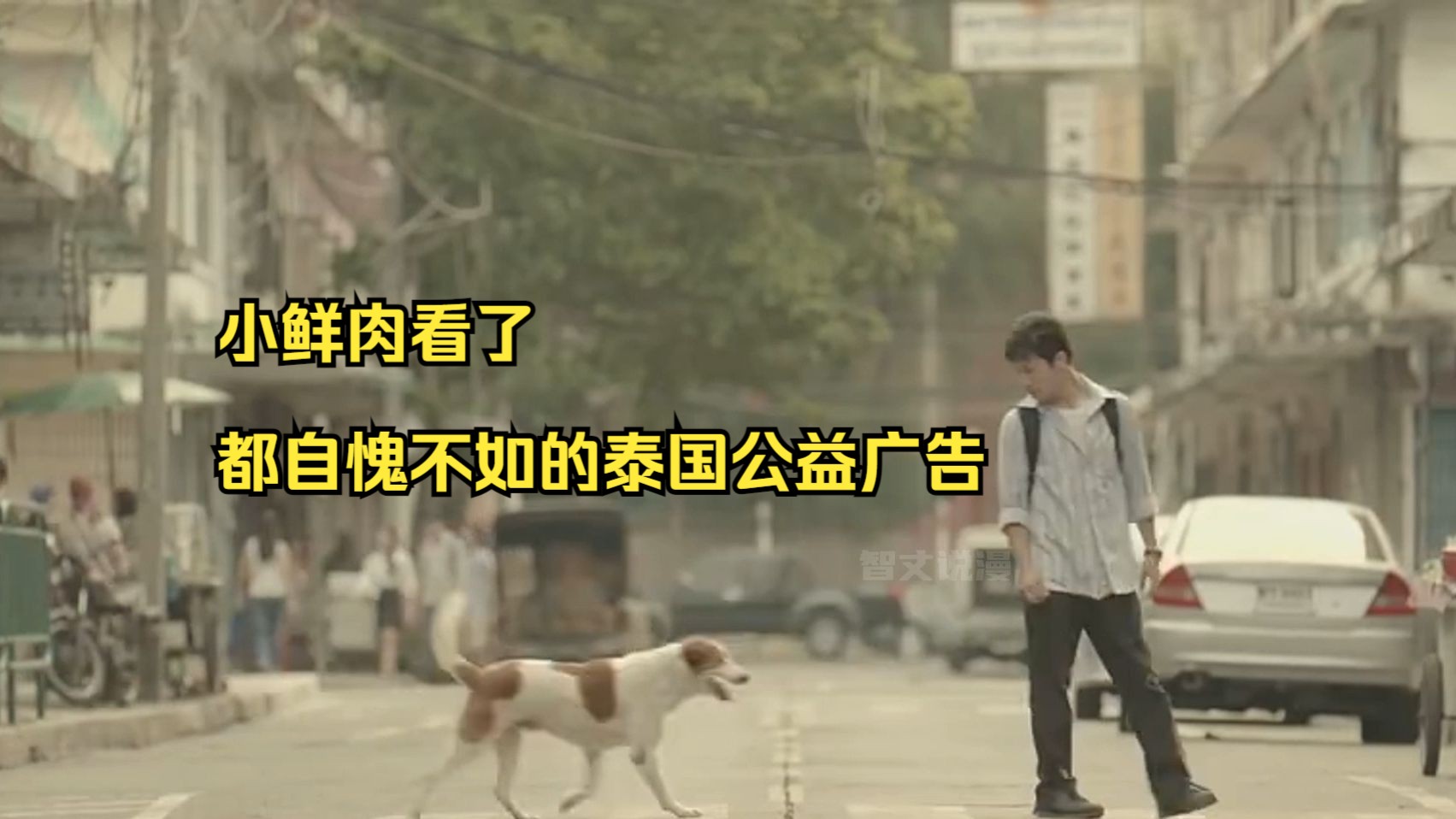 碾压小鲜肉的泰国公益广告.