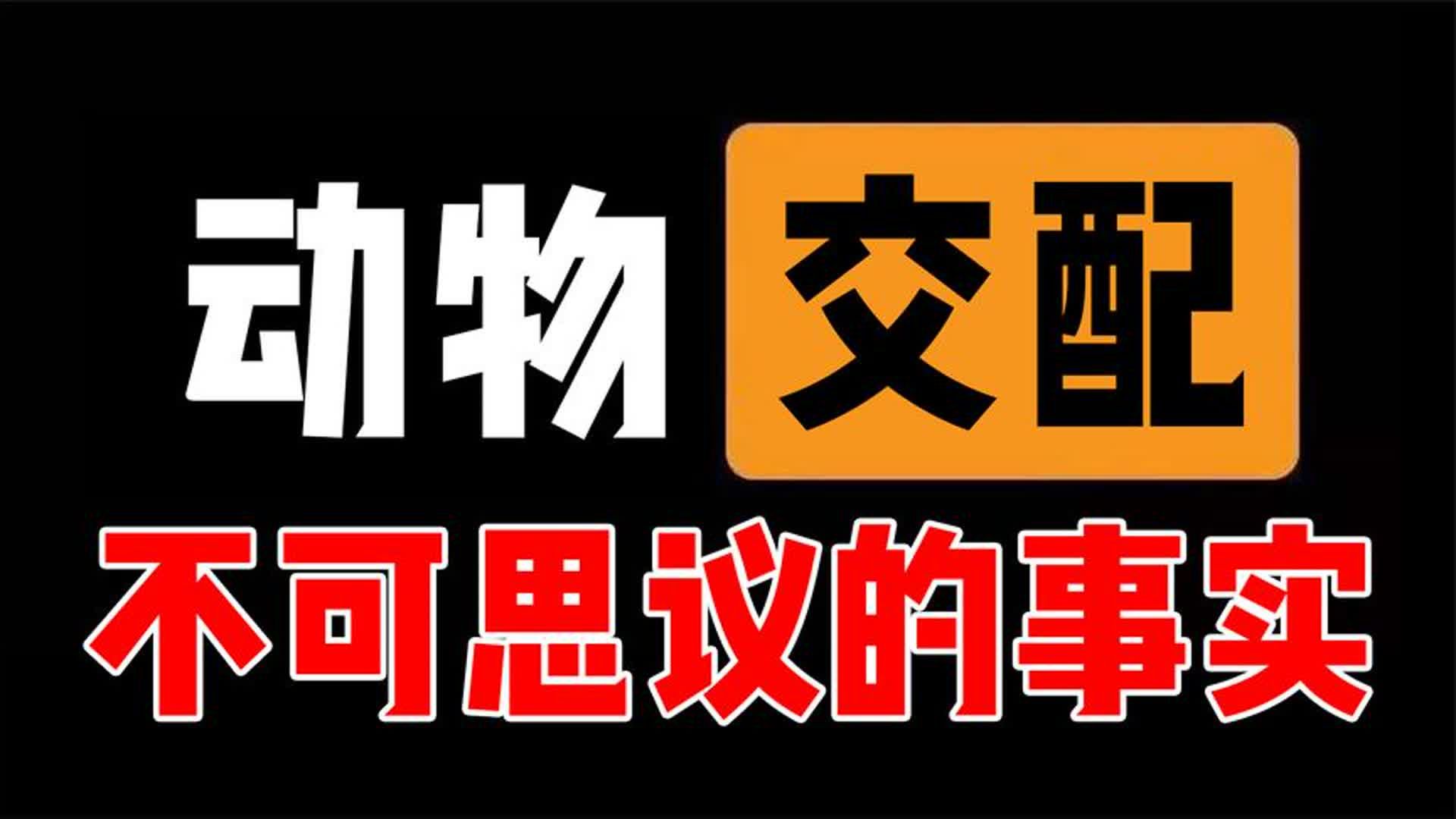 动物交配中有哪些不可思议的事实?在这些动物面前,人类只是渣渣哔哩哔哩bilibili