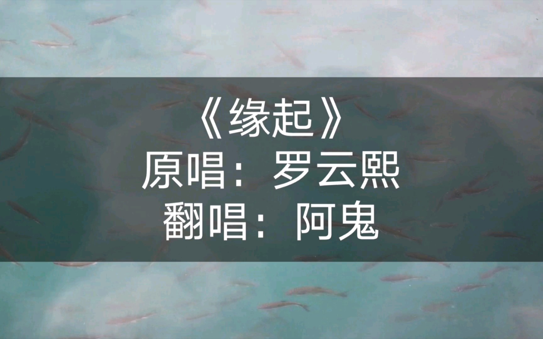 月上重火插曲《缘起》罗云熙原唱【阿鬼练歌房】
