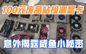 Télécharger la video: 100元勇闯废品站，想要捡漏一张显卡，这次能否捡漏成功？