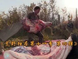 Скачать видео: 荒野独居第十一季迎来高潮，提莫射杀千斤驼鹿，收获五百斤纯肉