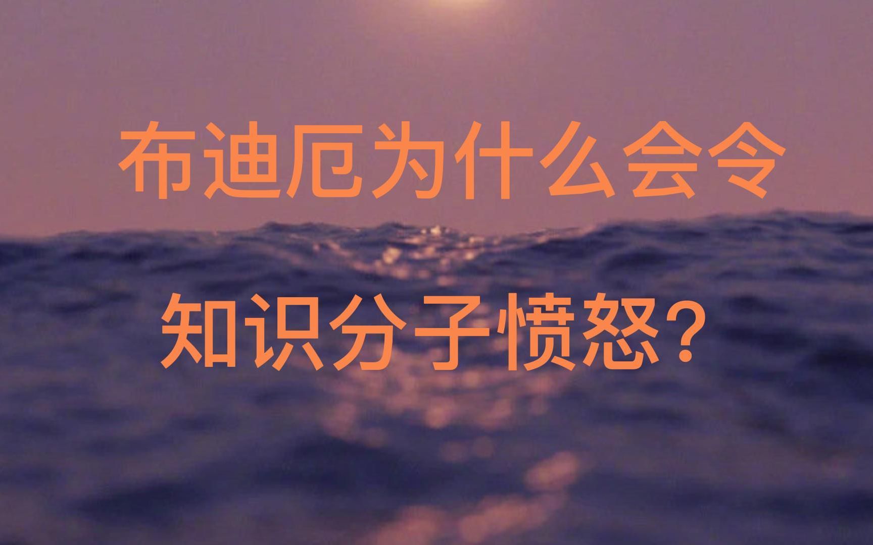 什么档次?评价我布迪厄?哔哩哔哩bilibili