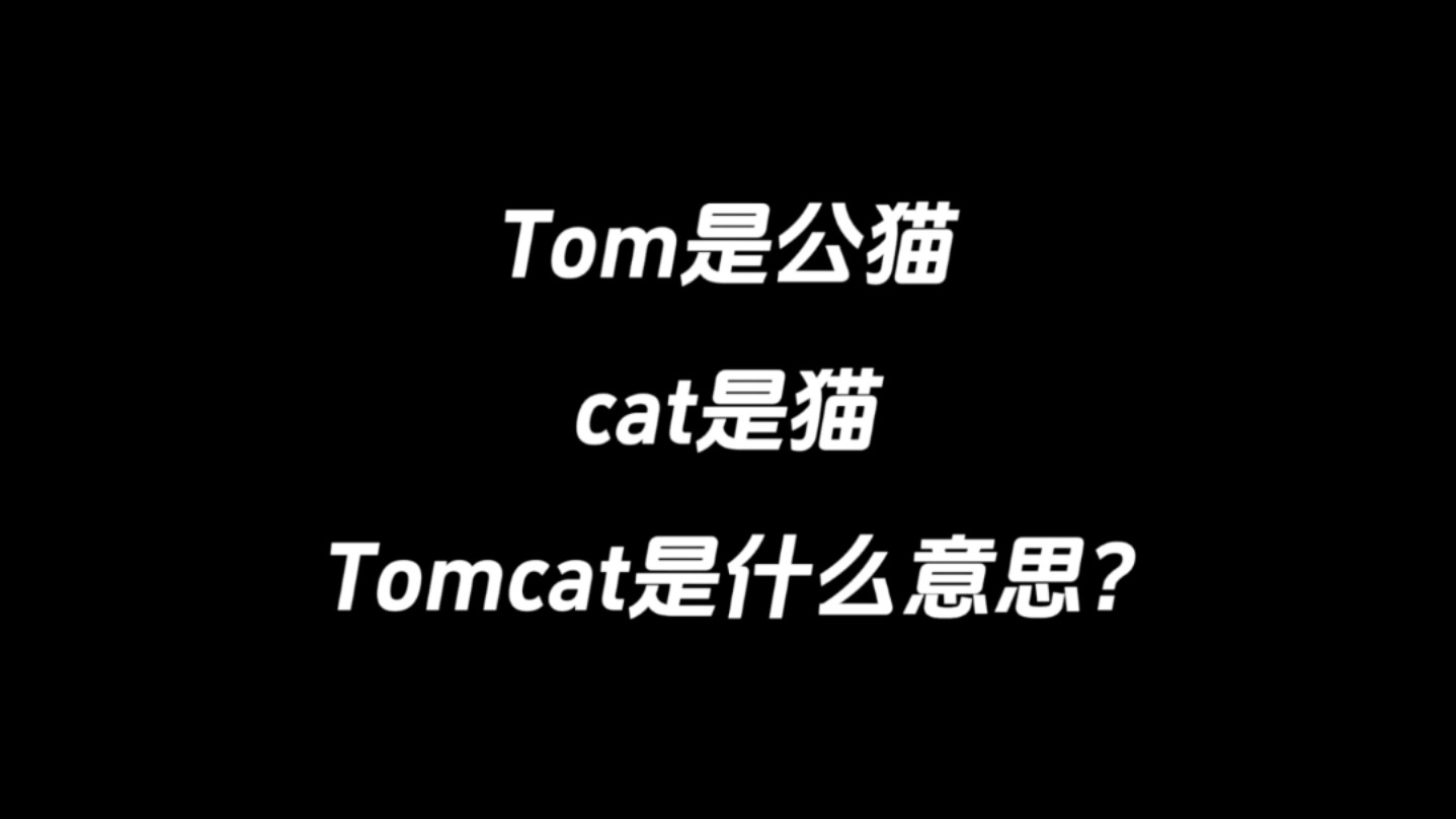 Tom是公猫,cat是猫,Tomcat是什么意思?哔哩哔哩bilibili