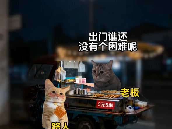 当你遇到一个像他的人 #猫meme小剧场 #猫meme#袁隆平#真实还原