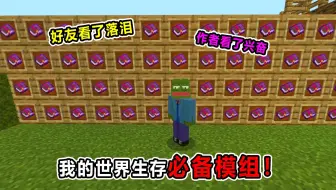 我的世界生存必备模组！真是好友看了落泪！作者看了兴奋啊！