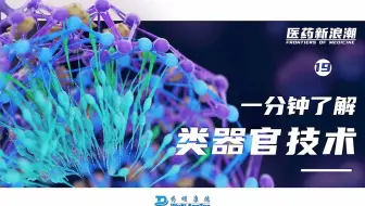 医药新浪潮 ｜一分钟了解类器官技术