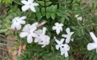 下痢 搜索结果 哔哩哔哩 Bilibili