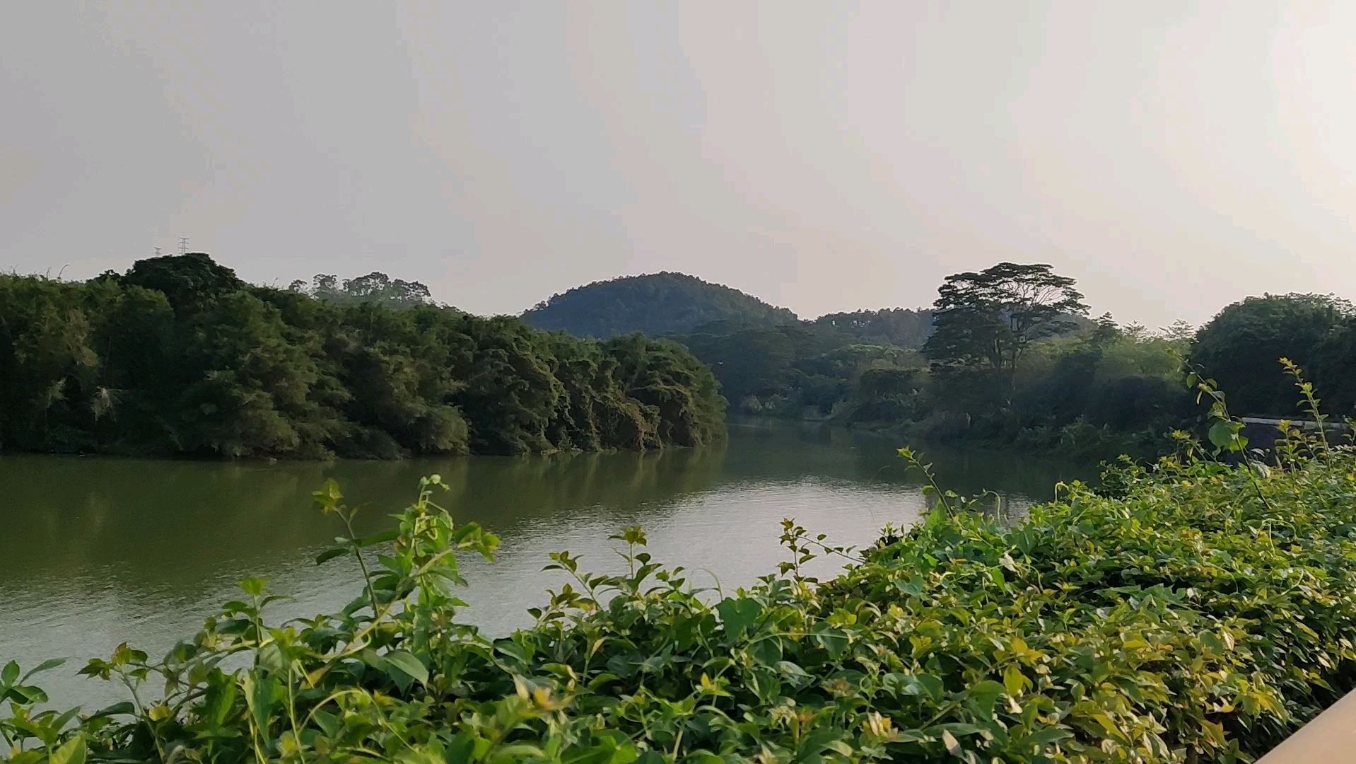 广州增城增江画廊,阳光明媚,鸟语花香