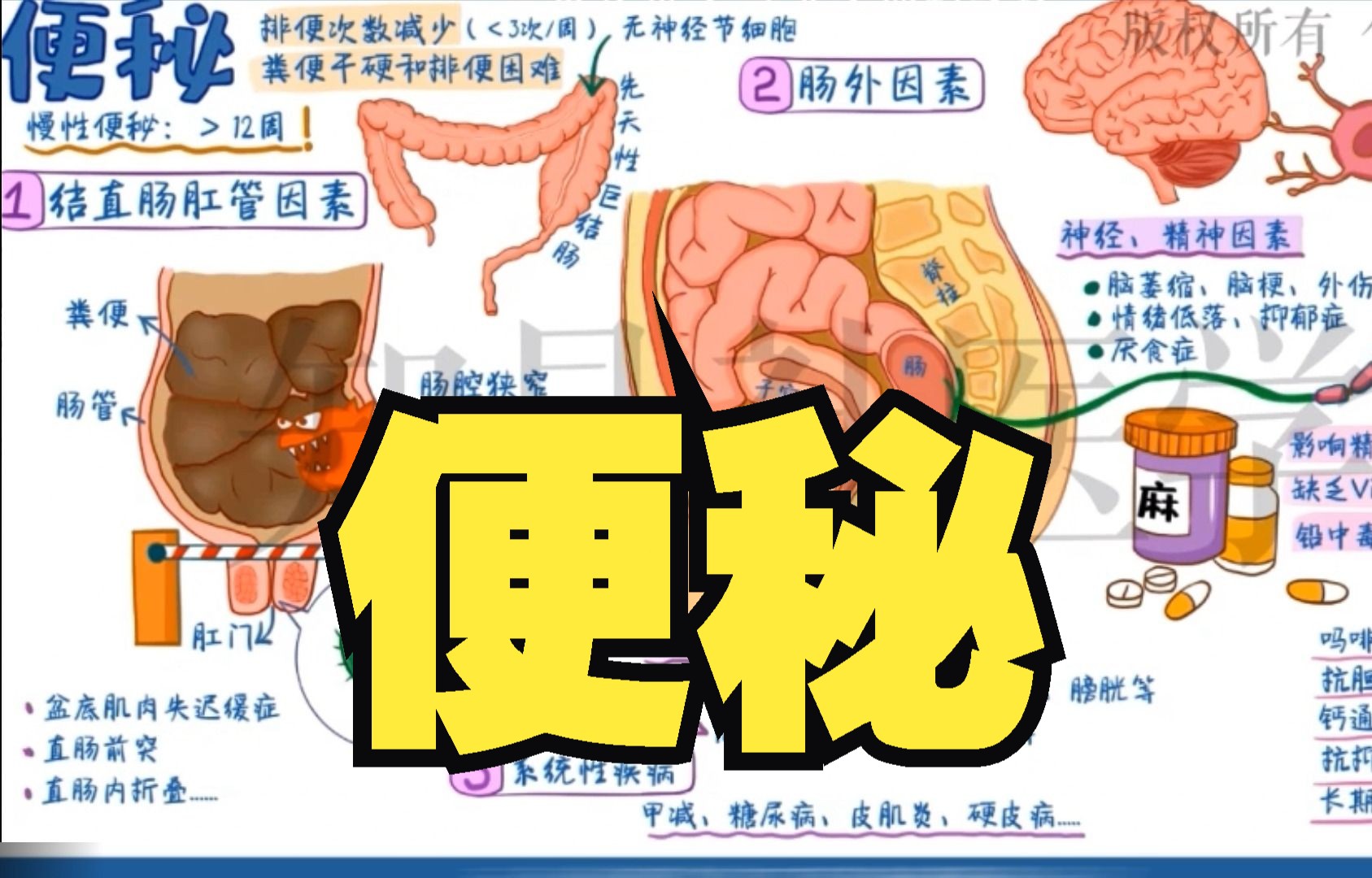 医学带背 便秘病因总结