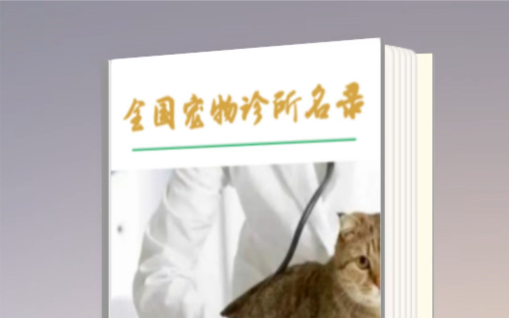 全国各地宠物医院宠物诊所电话号码资料名录查询哔哩哔哩bilibili