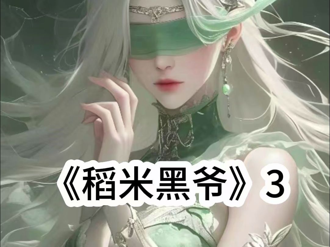 稻米黑爷3#盗笔小说哔哩哔哩bilibili