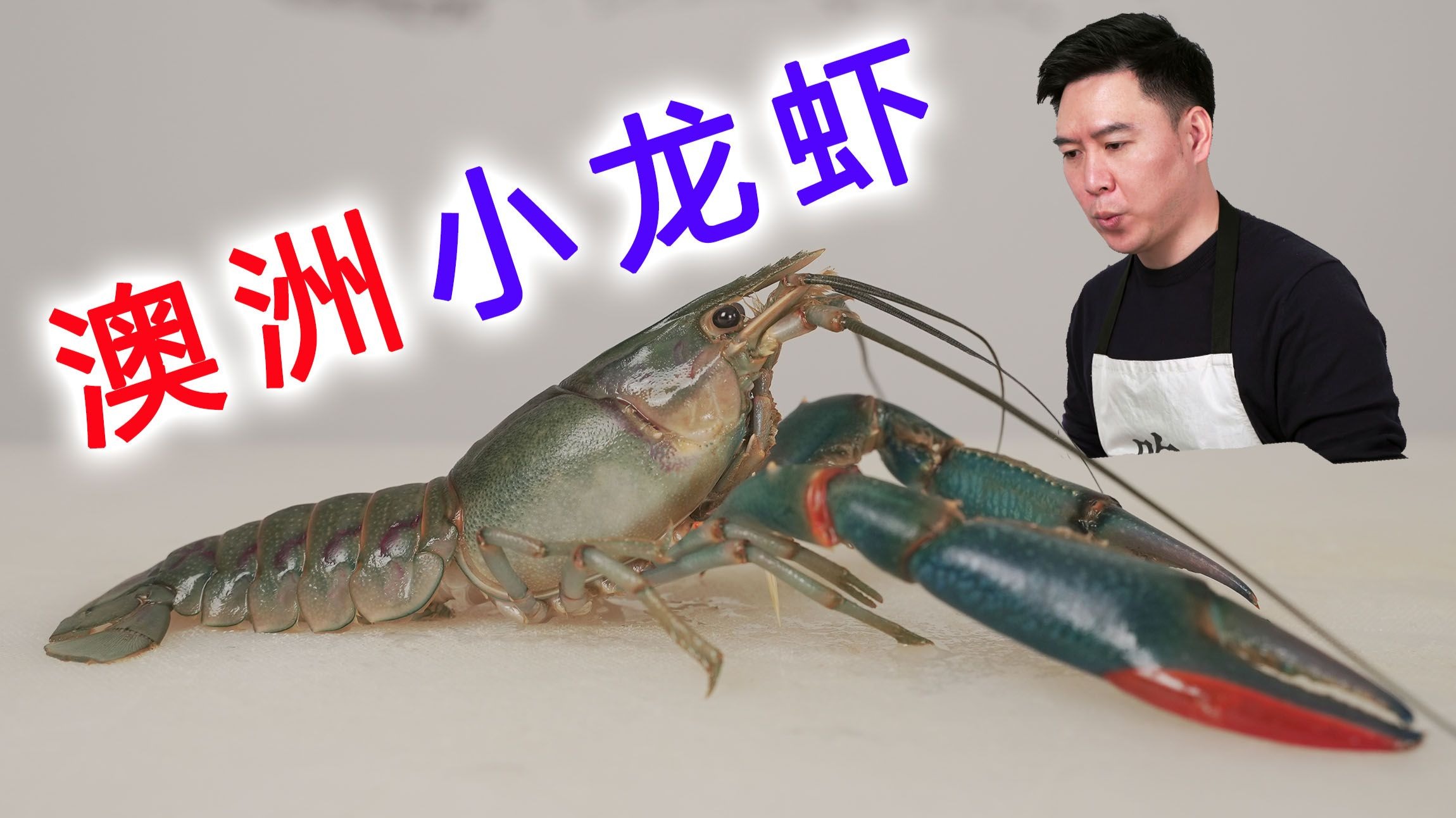致富经cctv17澳洲龙虾(致富经澳洲淡水龙虾养殖视频90后)