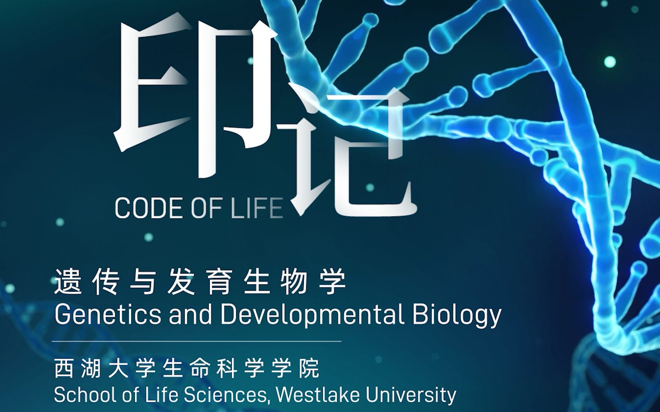 印记|西湖大学生命科学学院遗传与发育生物学Program宣传片哔哩哔哩bilibili