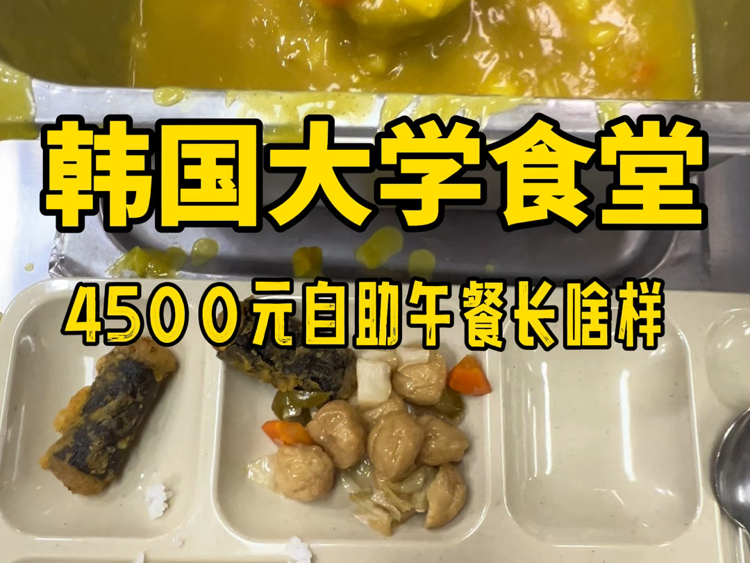 韩国大学食堂4500元自助午饭张啥样?哔哩哔哩bilibili