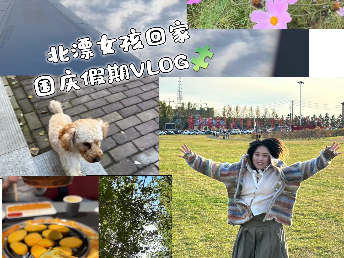 北漂女孩国庆假期Vlog|享受生活的光哔哩哔哩bilibili