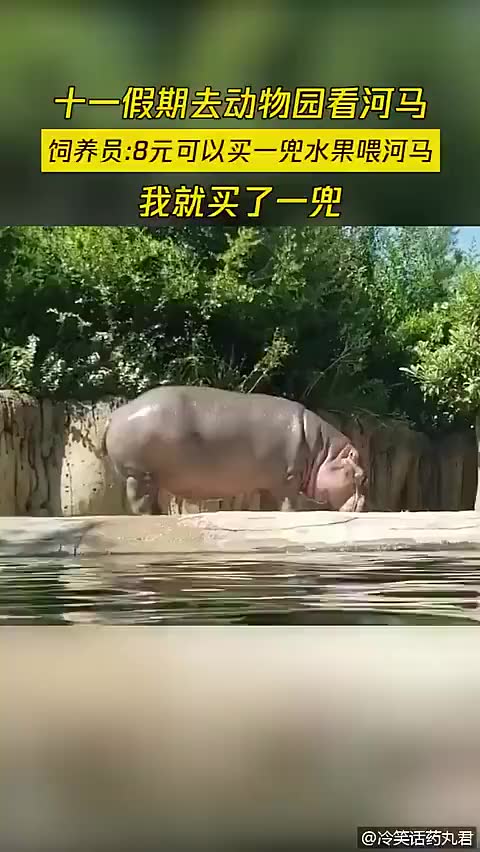 8元一兜比市场都便宜,我自己吃多香,我不喂它,工作人