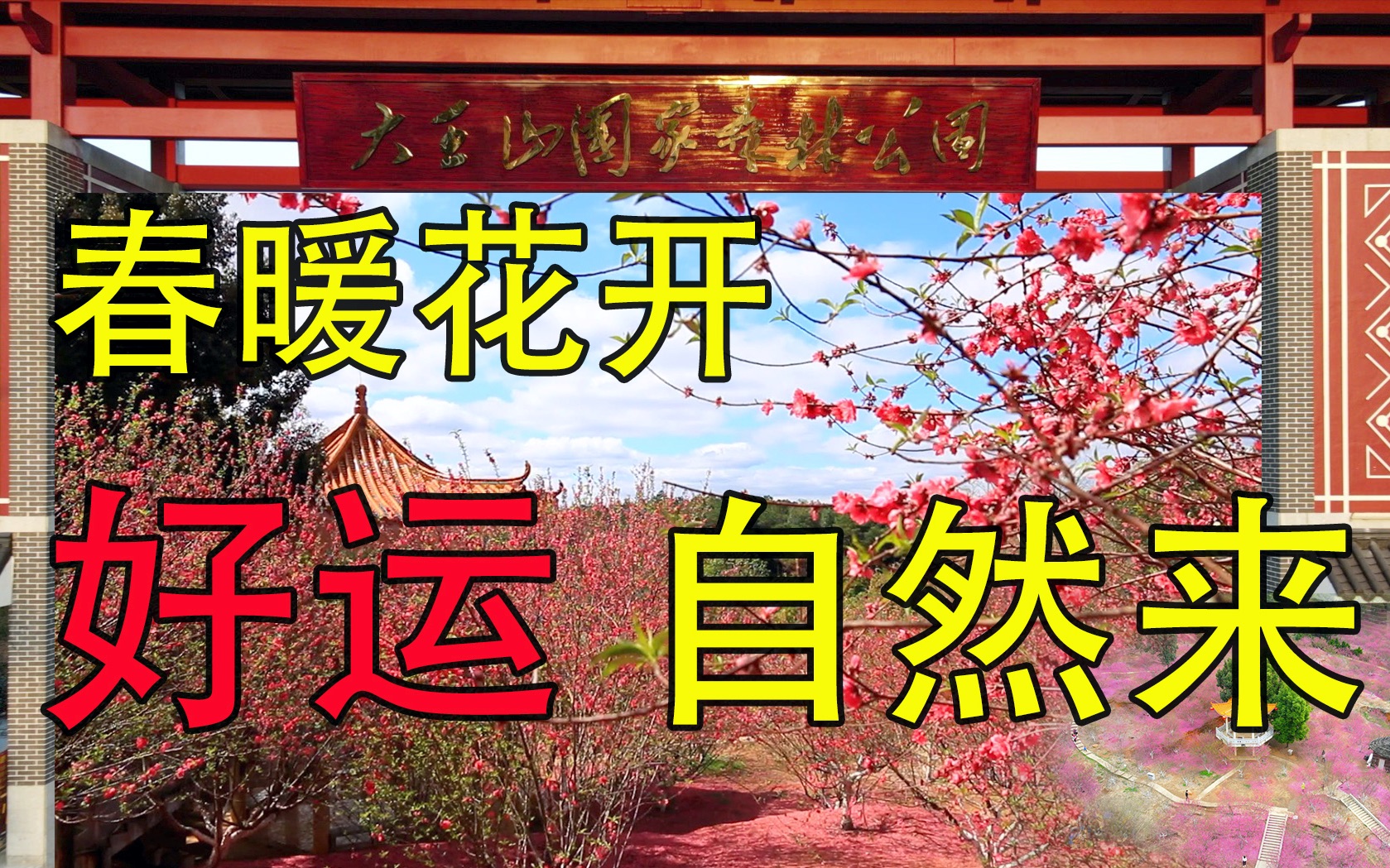 春暖花开,好运自然来!阿果带你云游郁南大王山国家森林公园