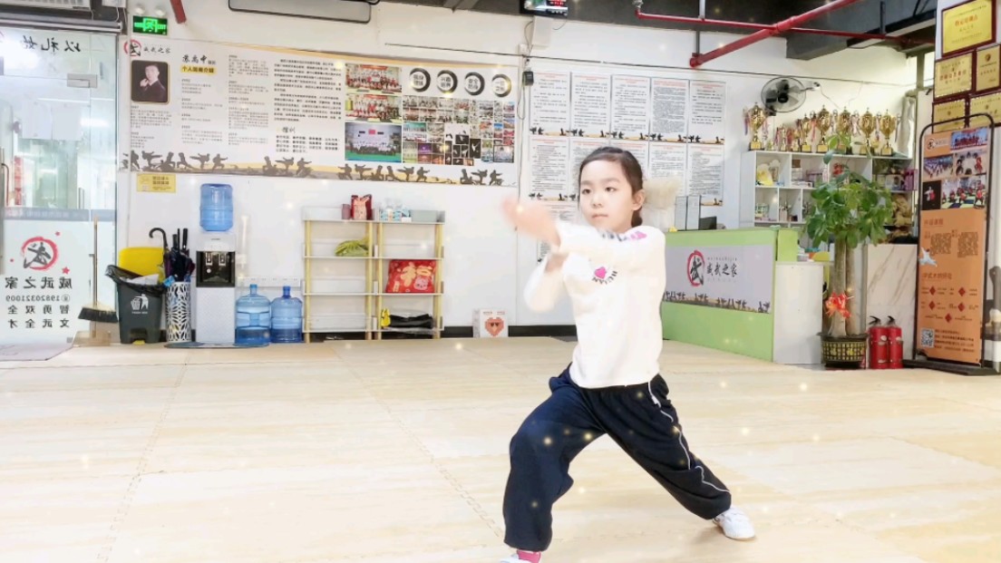 传统武术 一路长拳
