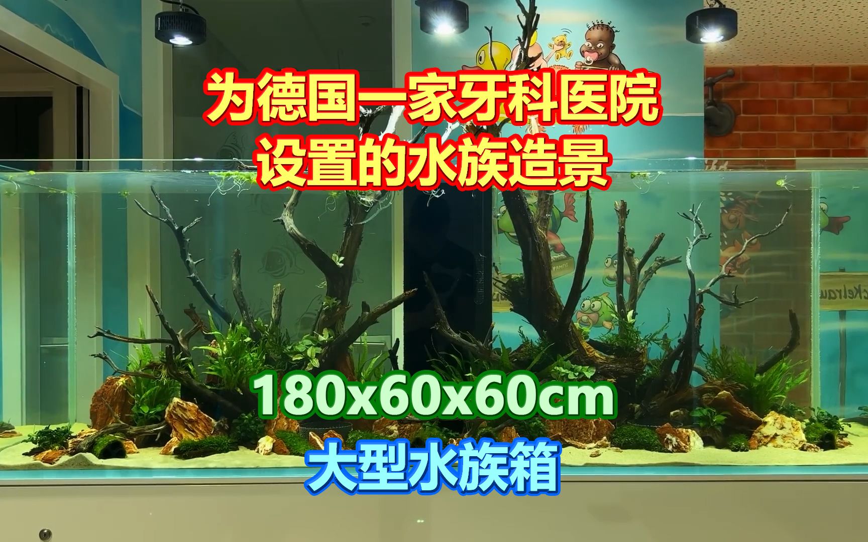 为德国一家牙科医院 专门设置的可360度观赏的水族造景 180cm哔哩哔哩bilibili