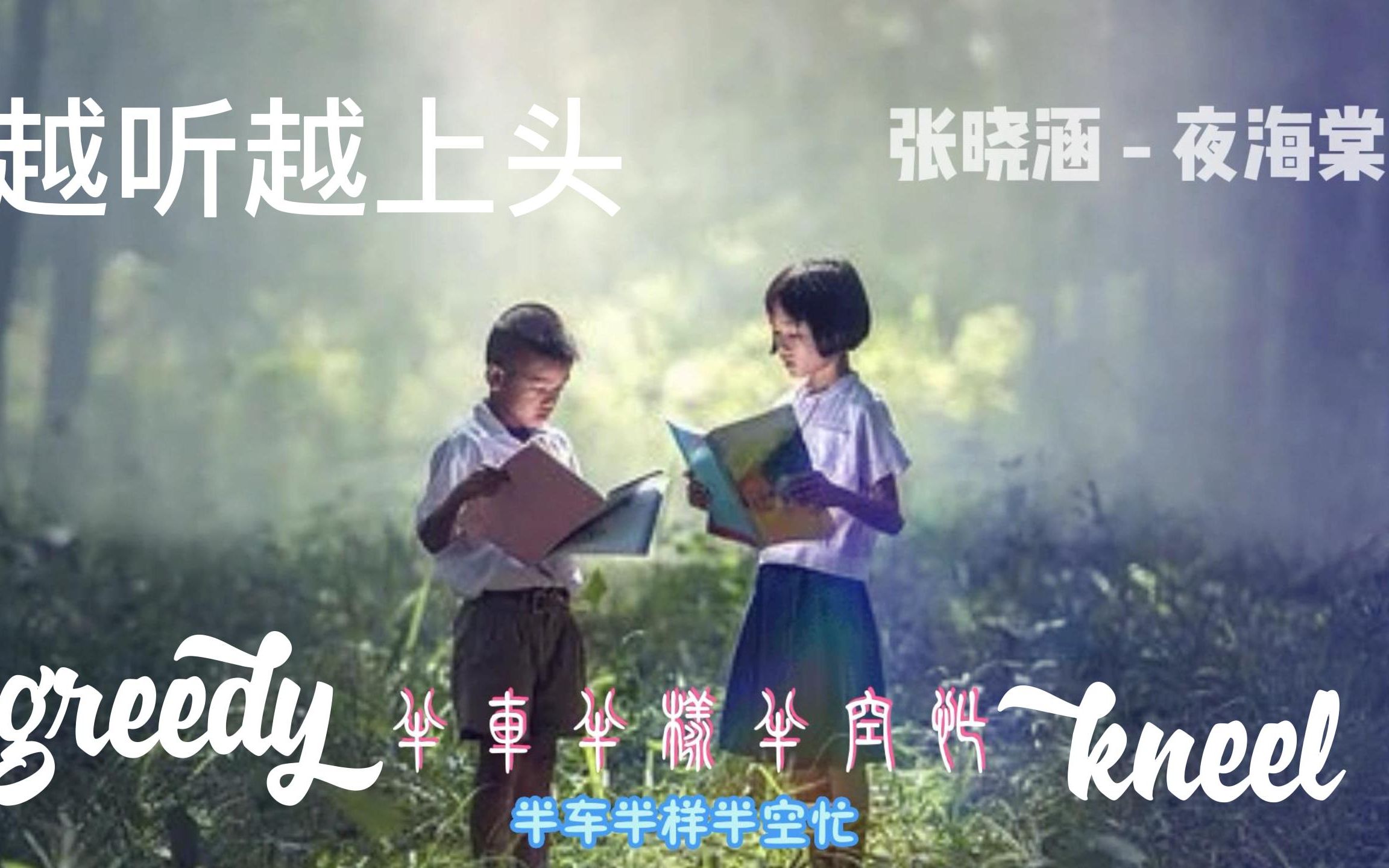 [图]【音乐素材】张晓涵 - 夜海棠 丨听听歌 学学文字 假装我能看懂这个歌曲？