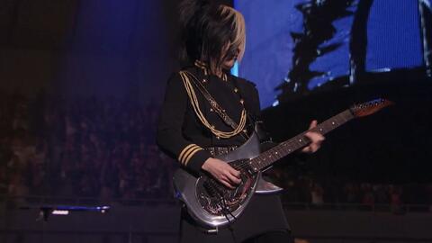 搜索 哔哩哔哩 つロ干杯 Bilibili