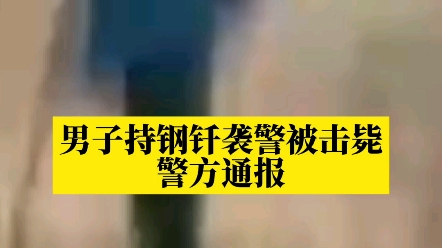 男子持钢钎袭警被击毙!警方通报:多次警告和鸣枪示警无效后开枪哔哩哔哩bilibili