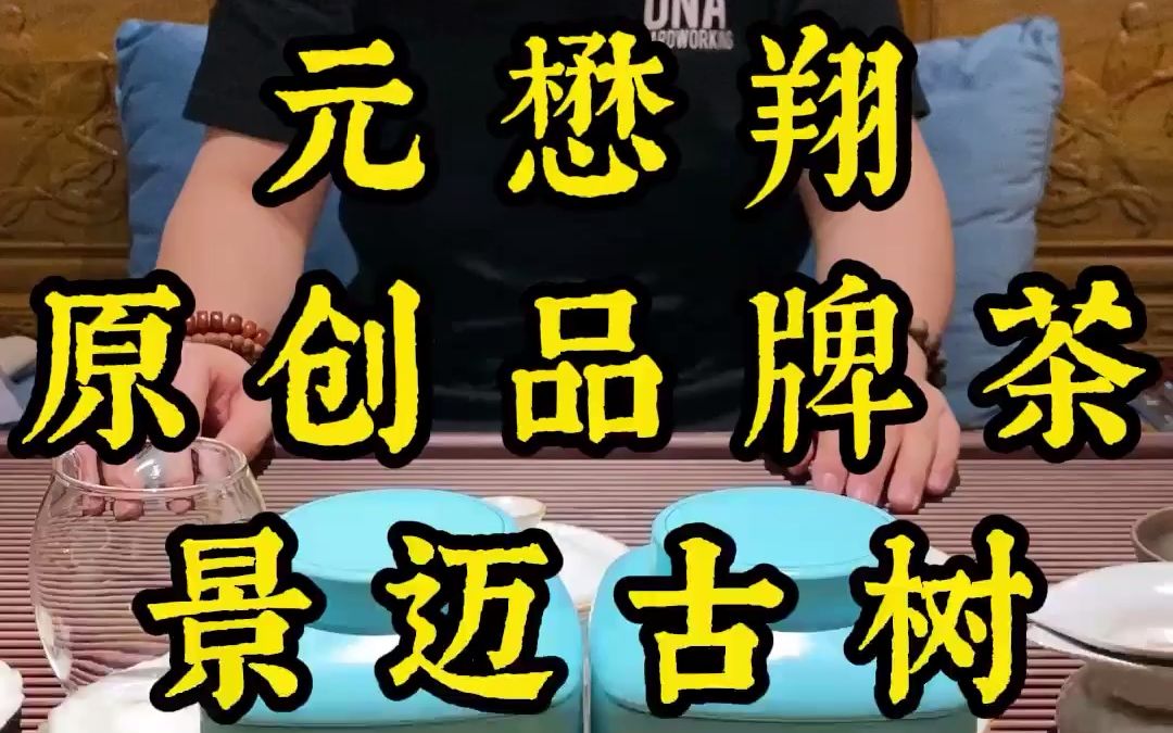 元懋翔原创品牌茶系列景迈古树哔哩哔哩bilibili