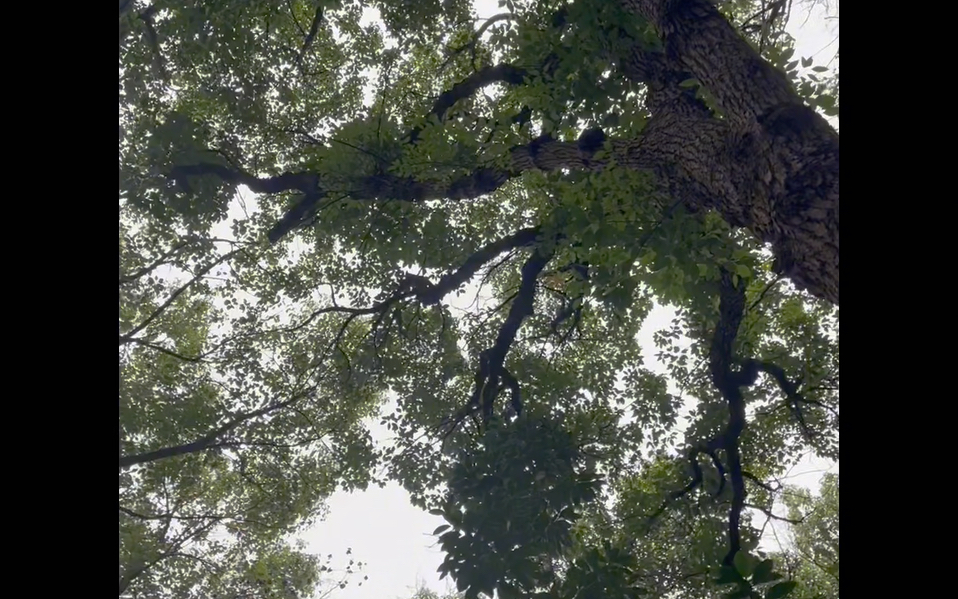 上山下山 上山是为了下山