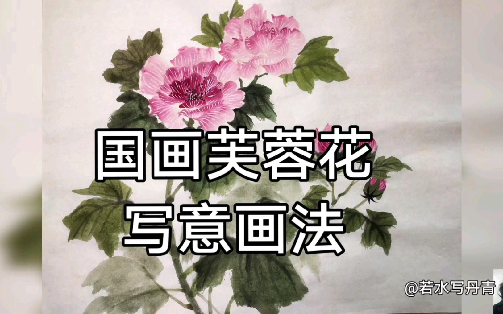 [图]国画小写意没骨芙蓉花画法二