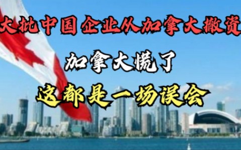 大批我国企业从加拿大撤资,加拿大慌了,这都是一场误会哔哩哔哩bilibili