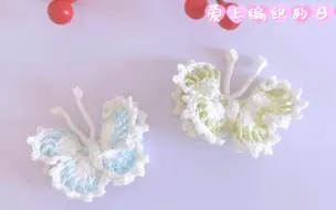 Tải video: 3D立体钩针蝴蝶，详细教程来啦