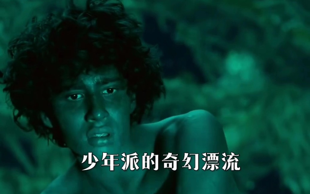 《少年派的奇幻漂流》男孩在海上漂泊227天,一直与老虎相依为命,连