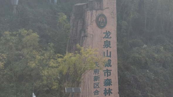 龙泉山城市森林公园天府新区合江景区哔哩哔哩bilibili