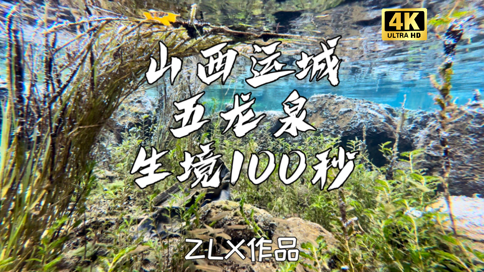 水下生境100秒|山西运城五龙泉 3 这颗隐匿在运城垣曲县的“宝藏生境”,以其独特的魅力令人心醉神迷哔哩哔哩bilibili