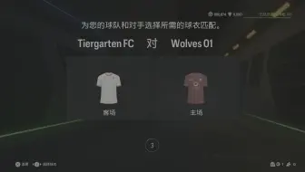 2025.01.16 [FPL 杯赛] Tiergarten FC VS Wolves FC 客场