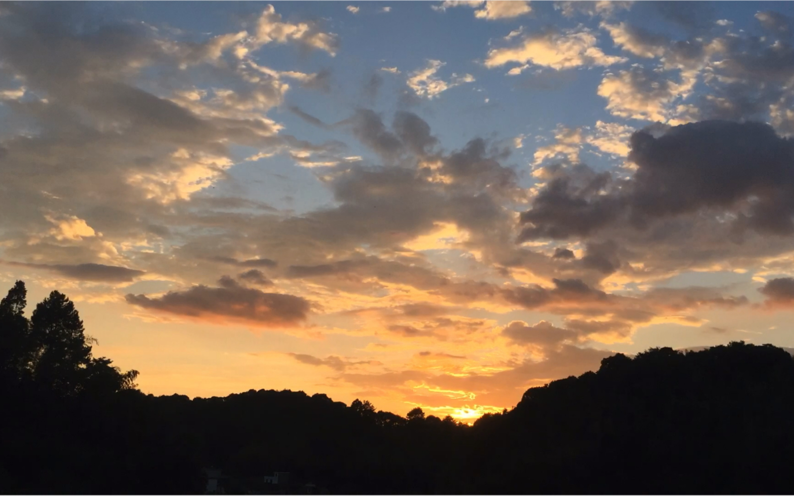 阳光在七月的天空闪耀得发烫