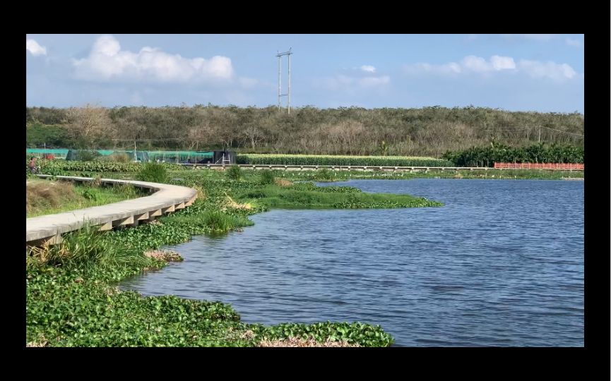 乐东镜湖湿地公园图片