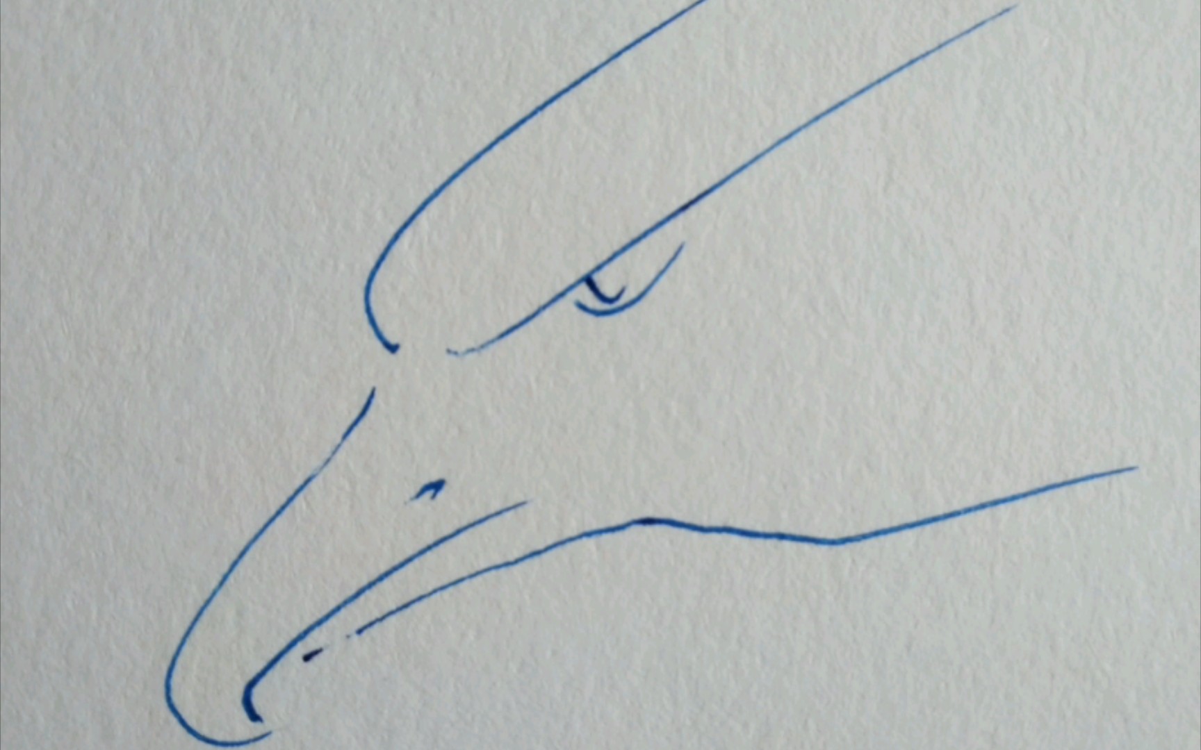 教你画个鸟头(水视频)